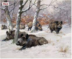 pin by olena chervona on animals boar wild boar wild boar hunting hunting art