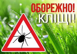 Профілактика хвороби Лайма