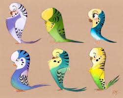 Eatsleepdraw Artwork By Abigail Munoz Bird Drawings Parakeet Art Bird Art