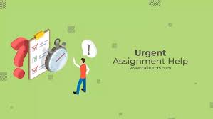Get Urgent Assignment Help Service From Top PhD Experts