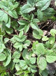 Pin Auf Handarbeiten