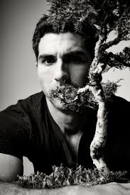 The Tree from The Shawshank Redemption Breaks its Silence