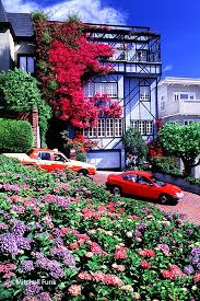 Flowers In Bloom On Lombard Street In San Francisco Www Mitchellfunk Com San Francisco Architecture San Francisco Photography San Francisco Travel