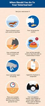 Maybe you would like to learn more about one of these? Causes Of Vomiting Diarrhea In Cats Canna Pet