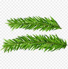 Are you looking for a symbol of christmas tree png? Free Png Pine Branches Set Png Images Transparent Christmas Tree Png Image With Transparent Background Toppng