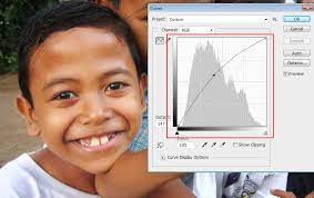 Itulah cara untuk membersihkan dan memutihkan wajah anda dalam mengedit foto dengan menggunakan adobe photoshop. Cara Memutihkan Wajah Di Photoshop Tutorial Cuy