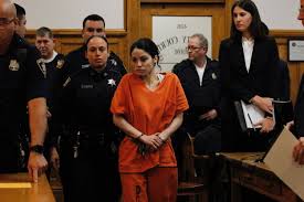 The Case — Nikki Addimando