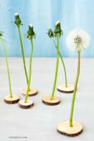 pusteblumen haltbar machen eine wunderschone fixe diy idee pusteblume haltbar basteln mit nudeln