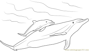 The spruce / wenjia tang take a break and have some fun with this collection of free, printable co. Mother And Baby Dolphin Coloring Page For Kids Free Dolphin Printable Coloring Pages Online For Kids Coloringpages101 Com Coloring Pages For Kids