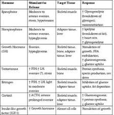 49 Best Endocrinology Images Endocrine System Anatomy