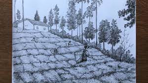 20 interesting and beautiful pencil drawings. Tea Garden Drawing In Pencil Pencil Sketch Scenery Drawing In Pencil Youtube