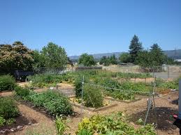 When asked what prompted the move, owner and operator scott stanton explained that business has been good, and we needed more space to expand our inventory. Willits Gardens Project North Opportunities