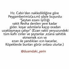 Kopekler Ezan Okunurken Neden Uluyor Www Corek Otu Yagi Com Corek Otu Yagi Com Math Math Equations