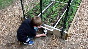 To decide if you need an underground irrigation system, consider: Pvc Irrigation For Raised Bed Gardens Youtube