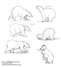 The Last Of The Polar Bears Dailysketch Polar Bear Art Polar Bear Drawing Animal Sketches