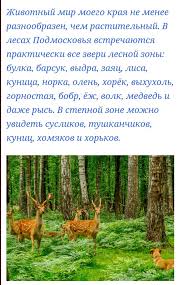 проект по окружающему миру 3 класс разнообразие природы родного края Proekt Raznoobrazie Prirody Rodnogo Kraya Gde Najti Obrazec