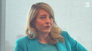 Crop Top Fashion Nova Danielle Cohn Brooklyn Barwick Attends The Release  Party For Dani Cohn And Mikey