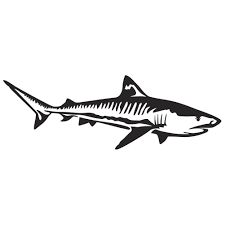 Black And White Shark Stickers Tiger Shark Wall Decal With Images Shark Silhouette Tiger Shark