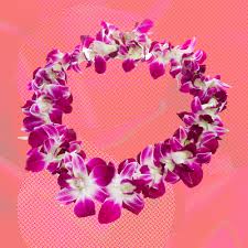 Fold one edge of a bill of paper money. Money Lei Graduation Gifts Have Long Meaning In History