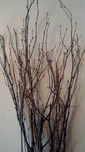 Birch Tree Branches For Sale Pin On Craft Room