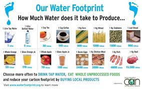 Brainy Girls Articles Water Footprint Global Warming Facts Video Games For Kids