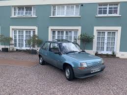 Image result for Bleu Crepuscule 1995 Renault