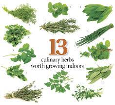Whether you have a large space or just a few pots on a patio, growing a crop of herbs like basil here's our comprehensive list of herbs to choose from! 13 Herbs To Grow In Your Kitchen With Tips On Getting Started And Keeping Them Growing Oregonlive Com