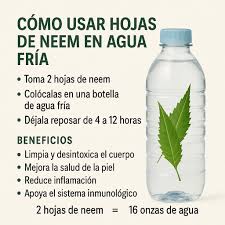 Agua de Neem: fácil, natural y poderosa ¿Sabías que puedes preparar un agua infusionada con neem usando solo 2 hojas y una botella de agua fría? Cómo hacerlo: 1️⃣ Añade 2 hojas