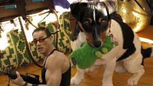 Image result for tbn:PynVVpwlqUveEM::www.imagefreehost.com/files/05012008/qc1400819220.gif