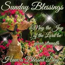 See more ideas about sunday, happy sunday quotes, happy sunday. Happy Sunday Blessings Quotes