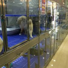 Imadi pet shah alam launching ceremony. Photos At Imadi Pet Now Closed Pet Store In Shah Alam