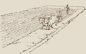 Vector Drawing Primitive Agriculture Peasants Tr Vector Picture Primitive Ag Sponsored Paid Paid Drawing Agricu Vector Drawing Drawings Primitive