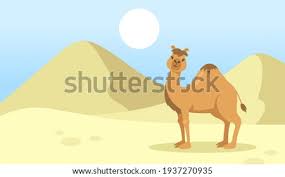 Camel's hump (alternatively camels hump) is a mountain in the green mountains in the u.s. Shutterstock Puzzlepix