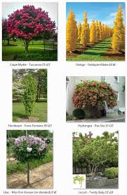 Check spelling or type a new query. Flowerbeds Smaller Columnar Trees All Seasons Landscaping Inc