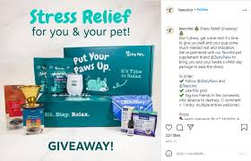 When you run an instagram giveaway, you can ask users for 3 things: Instagram Comment Picker Giveaway Ideas Examples Done Right Woobox Blog
