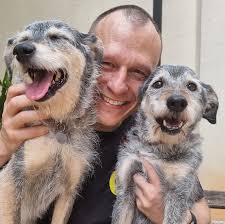 Hoje o Fumaça, pai da Estopinha, veio nos visitar e conhecer a Maya!! Ele  está com 16 anos e se recuperou milagrosamente de um câncer que já estava  fora de controle 🙏🥰