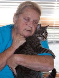 Cat settle into new Nine Lives of Norton shelter