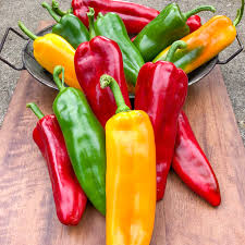 Just the right amount of diced jalapeño peppers are added to our viking cheese to create a soft, creamy, mild impression. Gurney S Triple Delight Hybrid Sweet Pepper Gurney S Seed Nursery Co