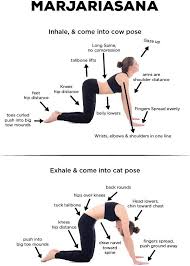 It also open the chest, encouraging the breath to become slow and deep. How To Do The Marjariasana And What Are Its Benefits Basic Yoga Yoga Anatomy Cat Cow Yoga Pose