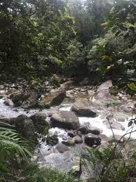 Download the background for free. Pin Oleh Saida Di Palm Cove Fotografi Jalanan Fotografi Jalan