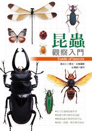 台湾 昆虫