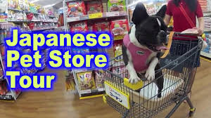 No bank holiday opening hours for this place. Pet Shop Near Me Now Open Online Shopping