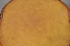 Image result for Regency WT-4