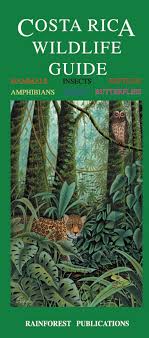 Maverick malibu architect harry gesner's bachelor pads for marlon brando to revisit this article, visit my profile, thenview saved stories. Costa Rica Wildlife Guide Laminated Foldout Pocket Field Guide English And Spanish Edition Rainforest Publications Amazon De Bucher
