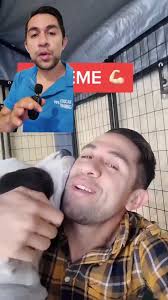 Dogo Argentino Florida