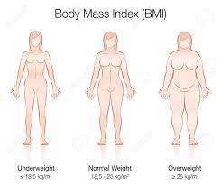 Body Mass Index Bmi Underweight Normal Weight And Overweight