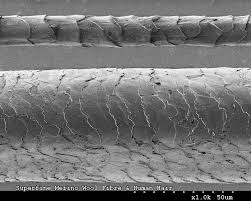 Australian Merino Wool Fibre Top Compared To A Human Hair Bottom Imaged Using Scanning Electron Microscopy Capillaire Coiffure
