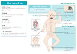 Rare Inherited Syndromes Amboss