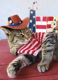 Happy 4th Of July Patriotic Pets Cat Celebrating Pet Holiday