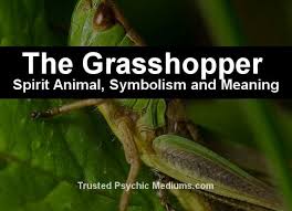 Grasshopper helps you focus on your business, so you can do what you're good at. The Grasshopper Spirit Animal A Complete Guide